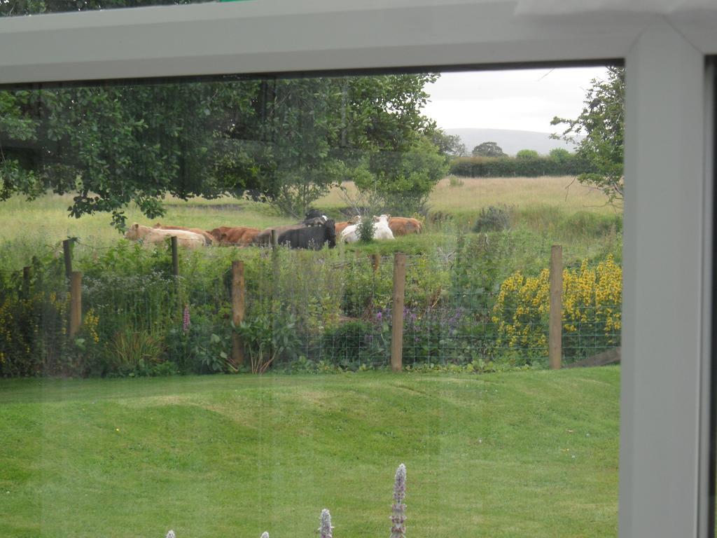 Troutbeck Cottage Carlisle  Oda fotoğraf